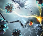 Research reveals COVID-19's lasting impact on brain function and structure