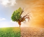 Medical community calls for unified action on climate and biodiversity crises as global health emergency