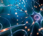 Discovery of toxic and protective short RNAs associated with Alzheimer's disease and superior memory capacity