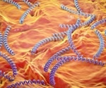 Syphilis: A silent epidemic reawakens