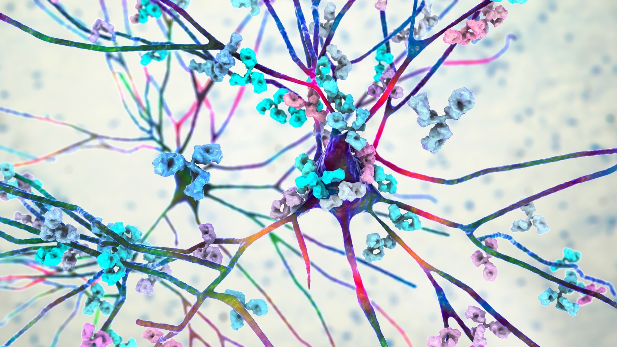 Study: Xist ribonucleoproteins promote female sex-biased autoimmunity. Image Credit: Kateryna Kon / Shutterstock