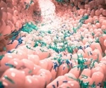 Twin study investigates the role of the microbiome as a modifier in mental disorders