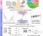 Healthy lifestyles linked to specific metabolic markers, large study finds