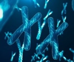 Females' immune system edges out males but at a cost of higher autoimmune risk