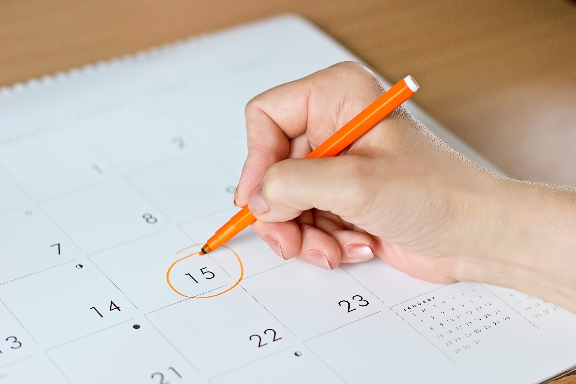 Image Credit: Nata Shilo com/Shutterstock.com