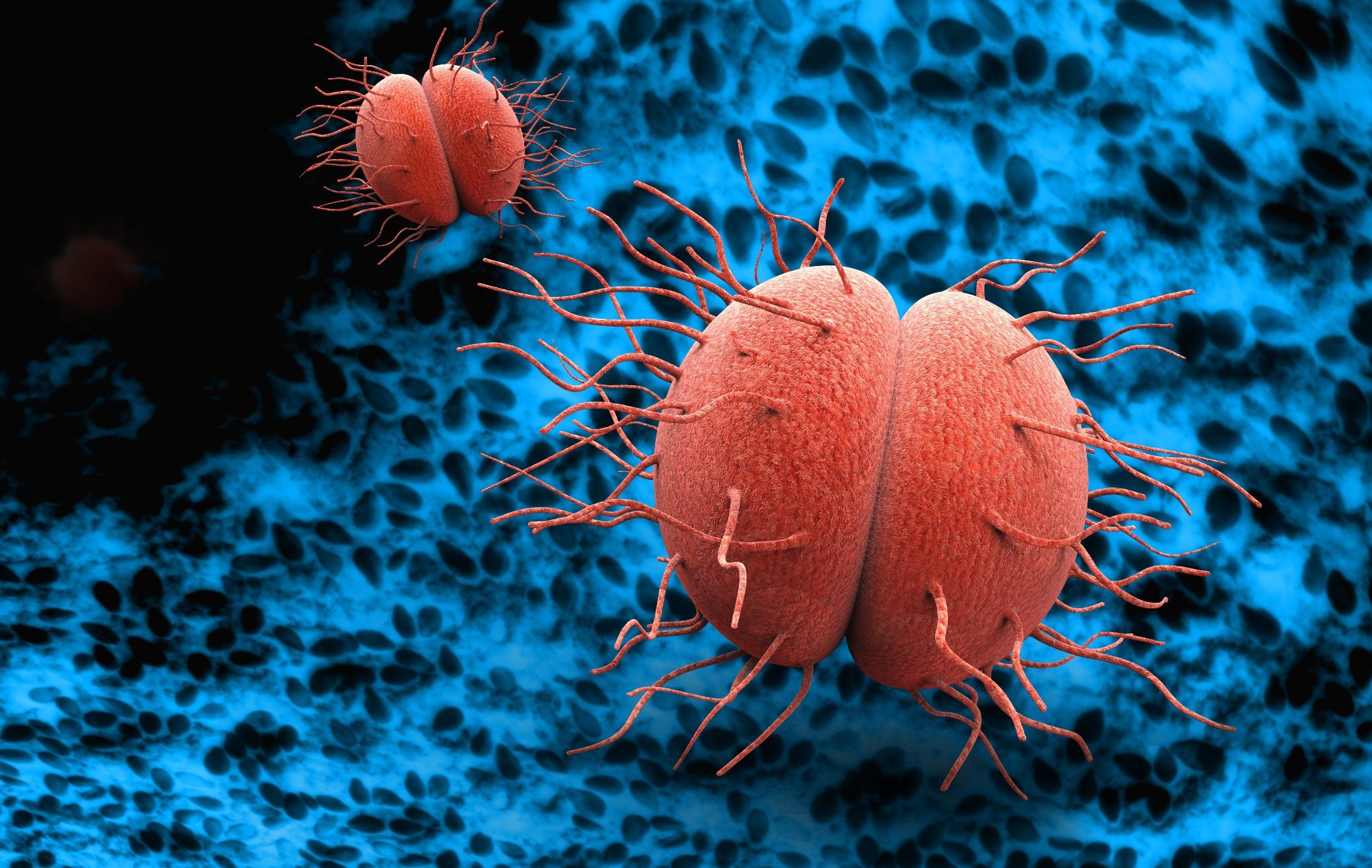 Study: Antimicrobial treatment and resistance in sexually transmitted bacterial infections. Image Credit: Giovanni Cancemi / Shutterstock
