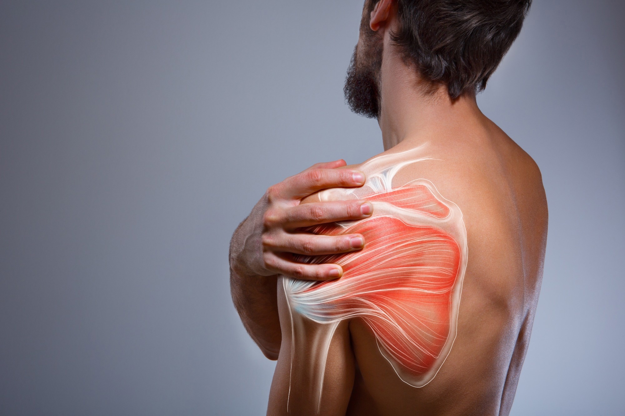 Study: Trigonelline is an NAD+ precursor that improves muscle function during ageing and is reduced in human sarcopenia. Image Credit: BigBlueStudio/Shutterstock.com