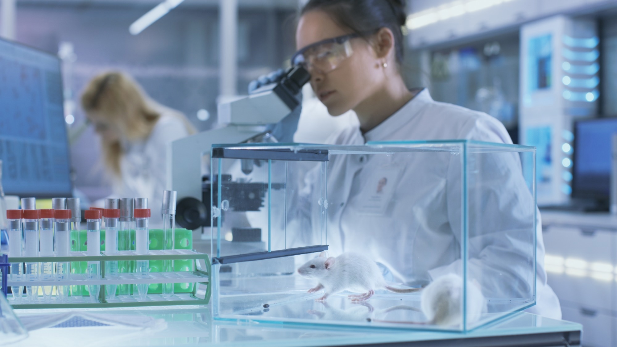 Study: IKK2 controls the inflammatory potential of tissue-resident regulatory T cells in a murine gain of function model. Image Credit: Gorodenkoff/Shutterstock.com