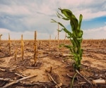 Climate change boosts infectious disease spread, hits the vulnerable hardest