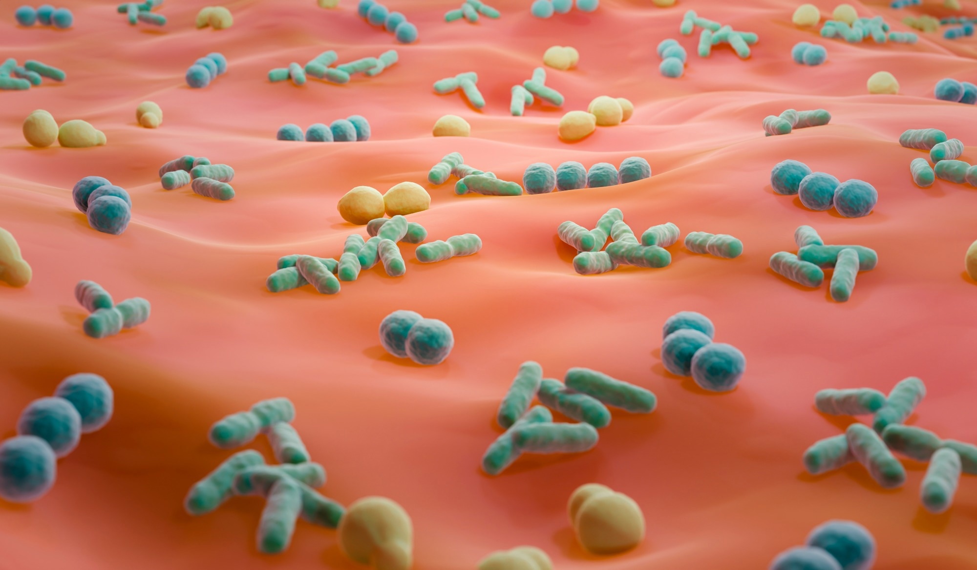 Study: Exploring the possible relationship between skin microbiome and brain cognitive functions: a pilot EEG study. Image Credit: ART-ur / Shutterstock