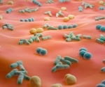 Study reveals skin bacteria removal boosts brain attention signals