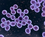 Pioneering vaccine strategy promises to outmaneuver antimicrobial resistance