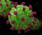 Study reveals how SARS-CoV-2 hijacks lung cells to drive COVID-19 severity