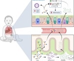Breast milk's secret weapon against RSV revealed in new study