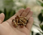 Can psychedelics improve sexual functioning and satisfaction?