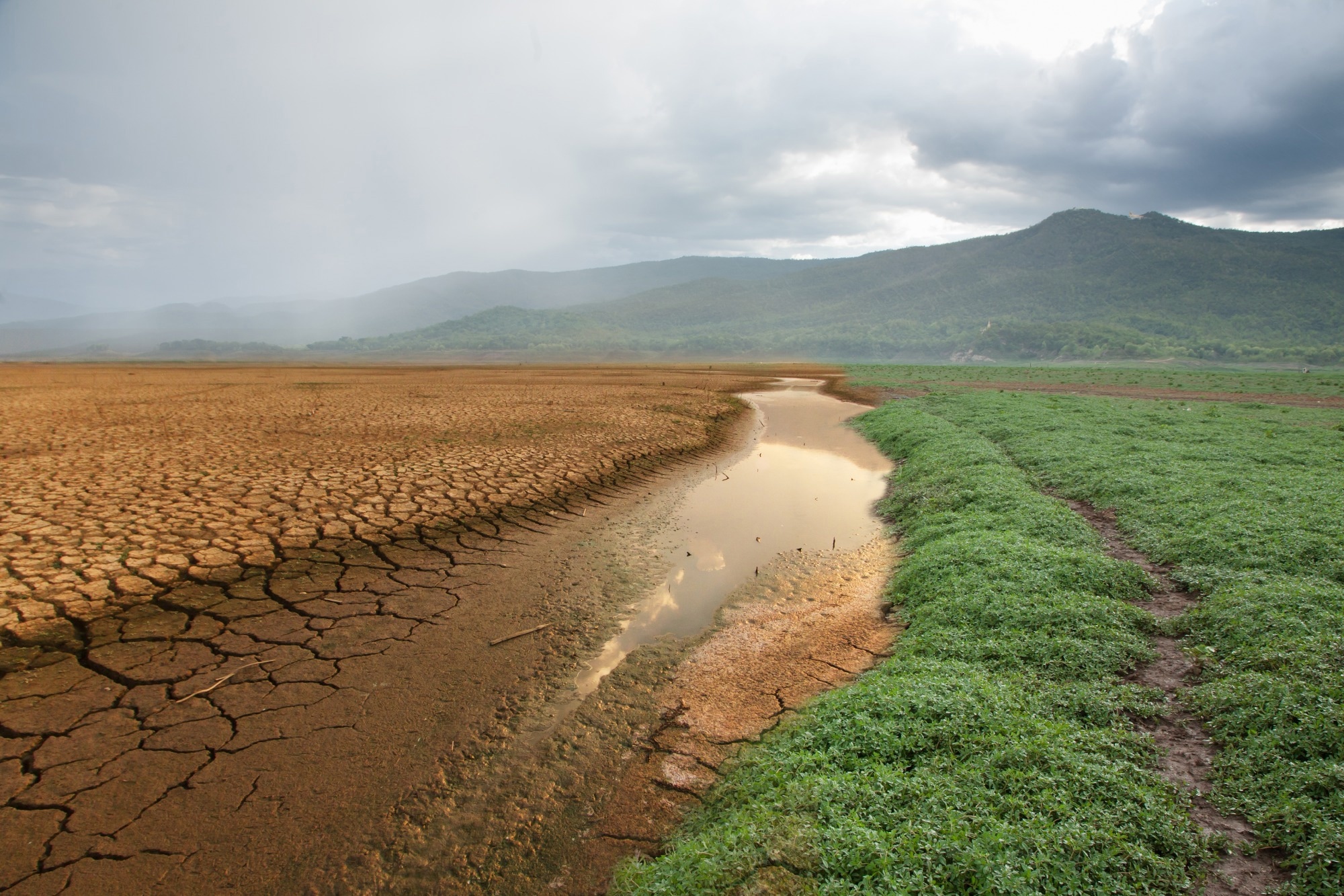 Study: Projecting heat-related cardiovascular mortality burden attributable to human-induced climate change in China. Image Credit: Piyaset / Shutterstock.com