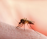Innovative malaria prodrug targets liver, enhances efficacy while reducing toxicity, preclinical studies show