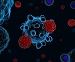 Immune cells play a bigger role in high blood pressure than previously thought, opening doors for new treatments