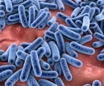 A gut bacteria could hold the key to universal blood, revolutionizing transfusion medicine