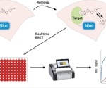 Advancing therapeutic insights: The impact of understanding cellular target engagement with NanoBRET® technology