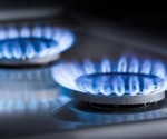 Study finds no fetal growth benefits from LPG cooking in resource-limited settings