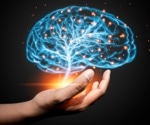 Neural circuits revealed as key regulators in body's immune response, study finds