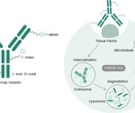 FDA-approved TIVDAK®: Targeting tissue factor in cervical cancer