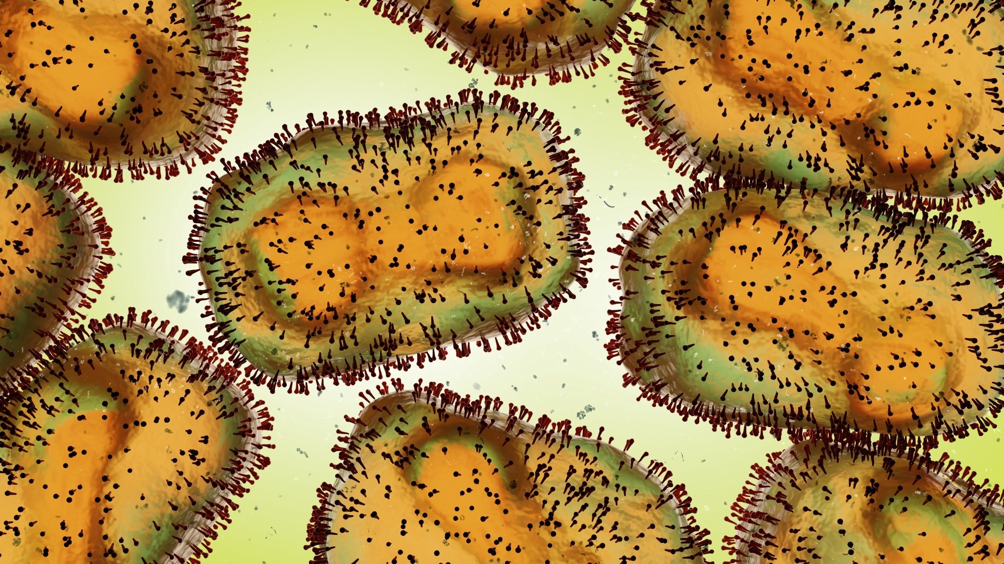 Perspective: Understanding the biology of monkeypox virus to prevent future outbreaks. Image Credit: Dotted Yeti / Shutterstock