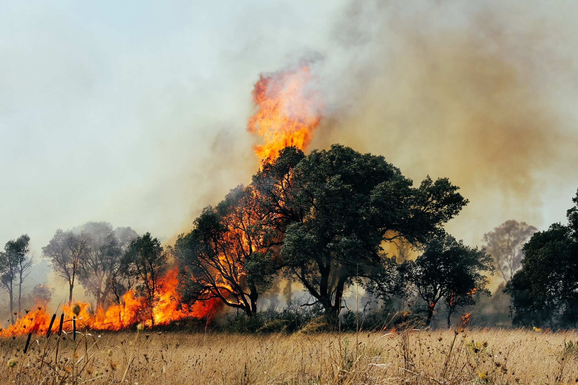The 2024 Europe report of the Lancet Countdown on health and climate change: unprecedented warming demands unprecedented action. Image Credit: Fabrizio Maffei / Shutterstock