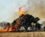 Climate change threatens health in Europe: Urgent action needed to protect vulnerable populations