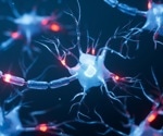 Metabolomics study finds biomarkers predicting autism in newborns