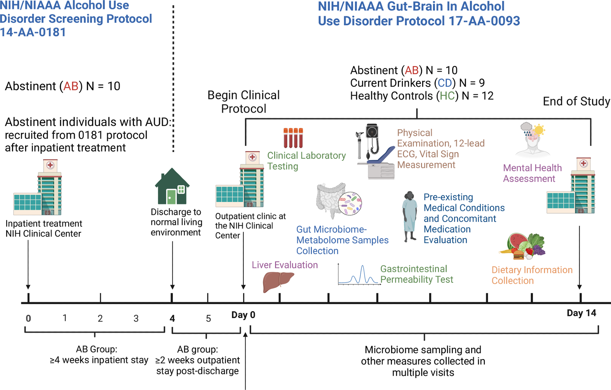 Schematic representation of the study design. Abstinent individuals with AUD (AB) were enrolled in the study after ≥4 weeks of inpatient treatment (NIH/NIAAA treatment protocol 14-AA-0181), followed by ≥2 weeks of “real life” (living their normal life). Non-treatment-seeking, currently drinking individuals with AUD (CD) and matched healthy controls (HC) were also enrolled. Fecal samples from the study participants were collected and processed for gut microbiome and metabolome analysis. Physical examination, 12-lead ECG, vital sign measurements, and laboratory tests were performed. Information on physical and mental health (including information on medical conditions and medications) and dietary intake was gathered and analyzed. Transient liver elastography and gastrointestinal permeability testing were carried out.