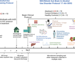 Short-term alcohol abstinence worsens gut health in alcohol use disorder patients