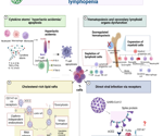 How does SARS-CoV-2 cause lymphopenia when T cells barely express ACE-2 receptors?