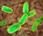 Archaea: Unseen players in human microbiome and infectious diseases