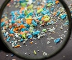 Porcine study reveals meurotoxic and pro-inflammatory effects of microplastics on enteric nervous system