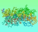 Breakthrough in aging research: Blocking IL-11 extends lifespan and improves health in mice