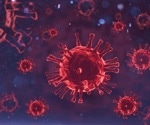 Long-term immune changes persist in unvaccinated COVID-19 patients