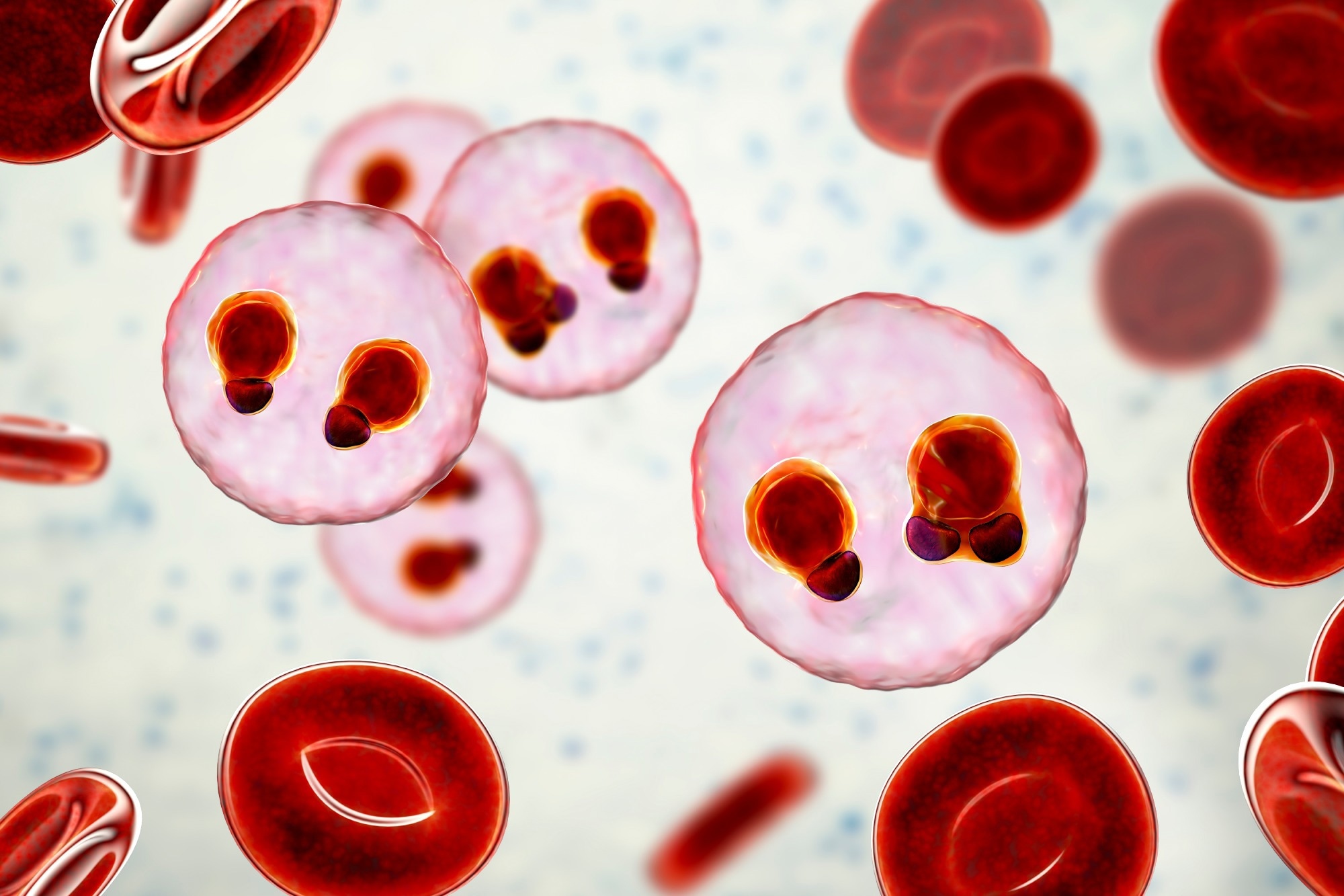 Review: Malaria vaccines: a new era of prevention and control. Image Credit: Kateryna Kon / Shutterstock