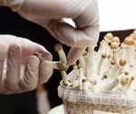 Psychedelics' dark side: New model reveals risks of false insights and beliefs