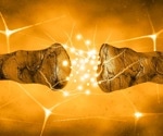 Human dopamine transporter structure with cocaine revealed, unlocking addiction insights
