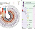 Scientists discover key age-related biological shifts at 40 and 60