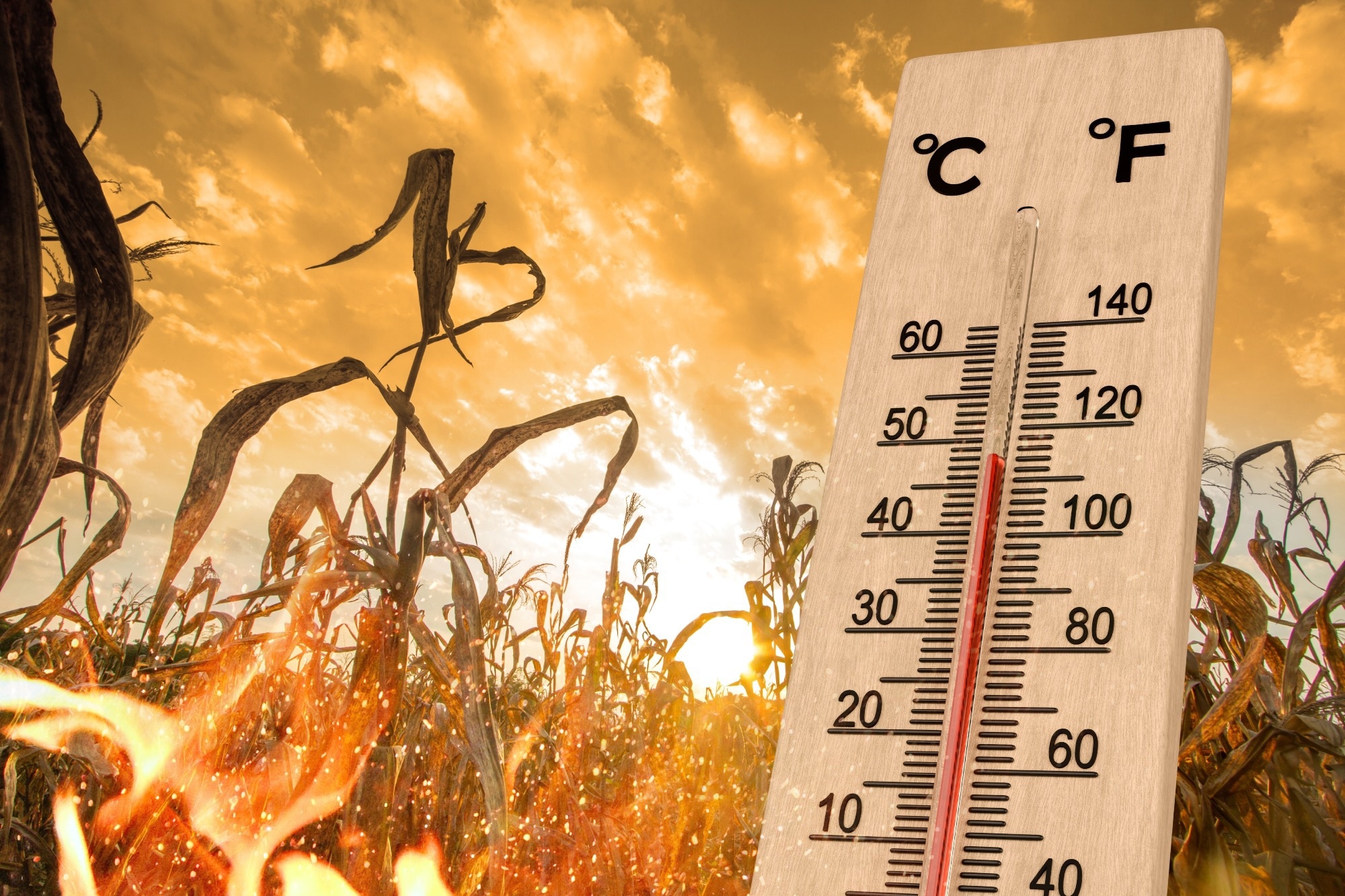 Impact of extreme heat and heatwaves on children