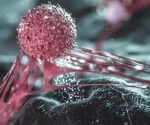 AI tool enhances cancer diagnosis by transforming standard tissue images