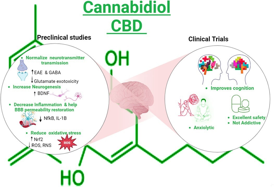 Graphical Abstract