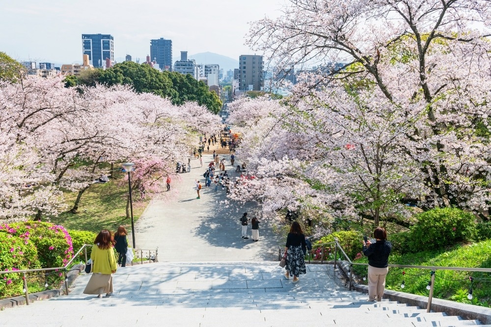 Study: Lifestyle Medicine and Japan’s Longevity Miracle. Image Credit: Blanscape/Shutterstock.com Study: Lifestyle Medicine and Japan’s Longevity Miracle. Image Credit: Blanscape/Shutterstock.com