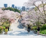 Exploring Japanese medicine: Longevity, lifestyle, and emerging health priorities