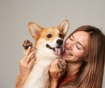 Research shows brain synchronization between humans and dogs