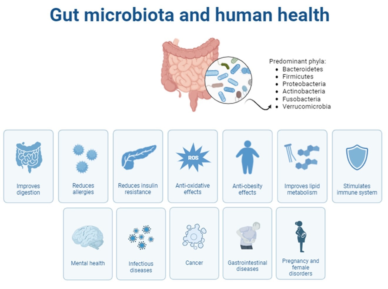 Review: Substitutive Effects of Milk vs. Vegetable Milk on the Human Gut Microbiota and Implications for Human Health