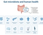 How do animal and plant-based milks affect gut health?